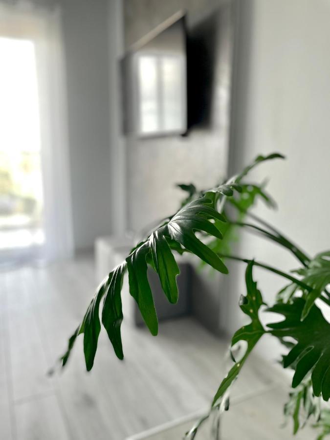 Ach, To Tu- Apartament Łańcut Esterno foto